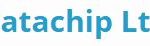 Datachip logo 1