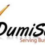 DumiSoft logo 1