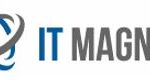 IT Magnet logo 1