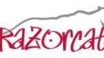 Razorcat Development GmbH logo 1