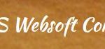 US WEBSOFT CORPORATION logo 1