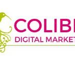 Colibri Digital Marketing Logo