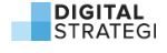Digital Strategi Skandinavien AB Logo