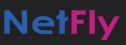 NetFly Logo