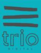 Trio Digital Marketing Advertising Agency Nairobi Kenya. Logo